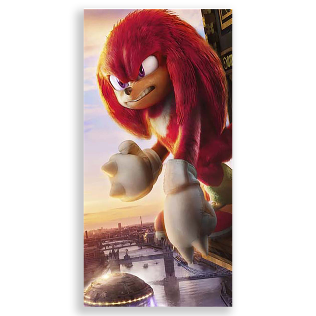 31001564-Sonic