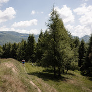 IMG-0240