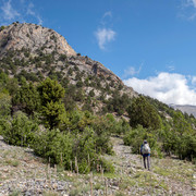 IMG 0650 (2)
