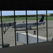 82