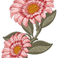 b34d407c8092ece265bd62d761a4b1ce