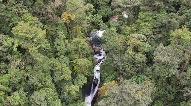 river waterfall.png