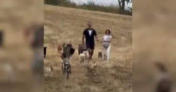 Lee Asher Ties the Knot with Rescue Dogs by His Side