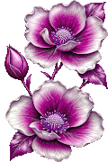 7cde92c2ccdba73e6ef270973ade6c40