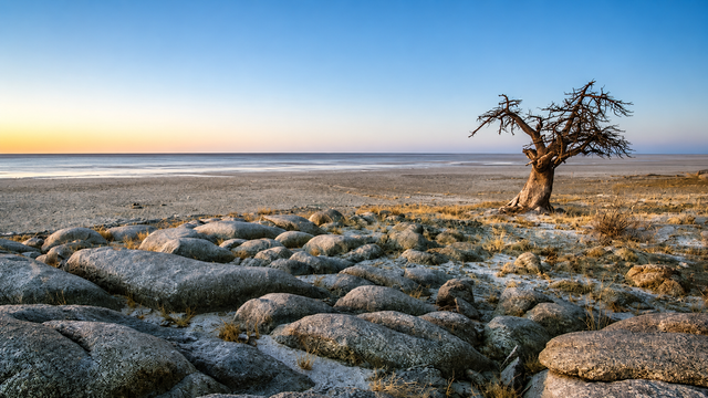 Makgadikgadi Pan