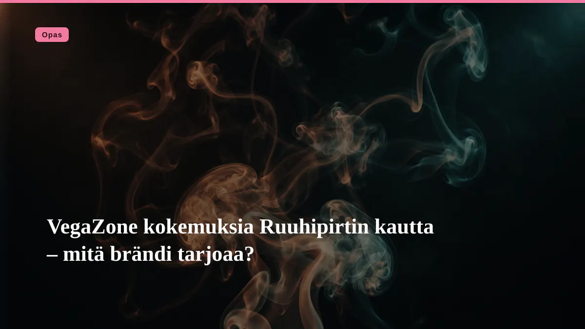 VegaZone kokemuksia Ruuhipirtin kautta – mitä brändi tarjoaa?