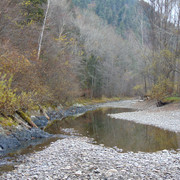 DSC05297