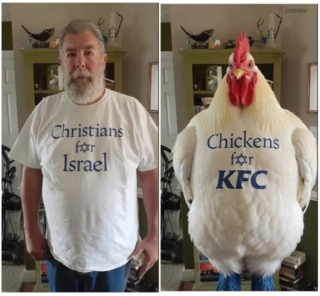 CUFI Chickens for KFC