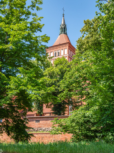 warmia d2 19.jpg