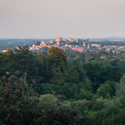 L1013821