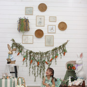 IMG-6567