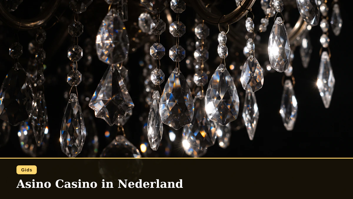 Asino Casino in Nederland
