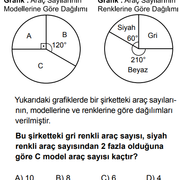 Araç Sayısı
