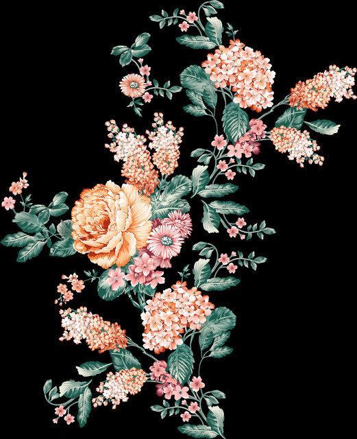 shutterstock 2315911291.jpg