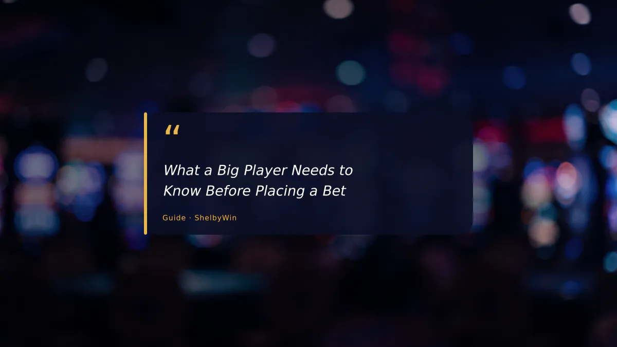 What a Big Player Needs to Know Before Placing a Bet