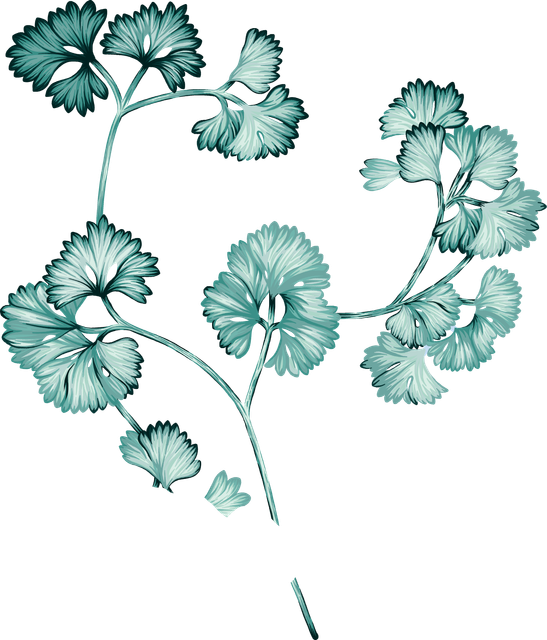 53b28b86651338af0df61aacdcda9668.png