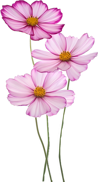 7a9501ecf7a4acffe6375012fbf12063.png