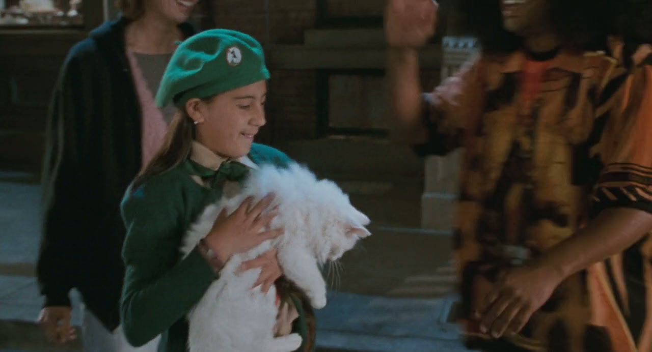 Mr. Deeds Screenshot