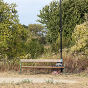 IMG 2705