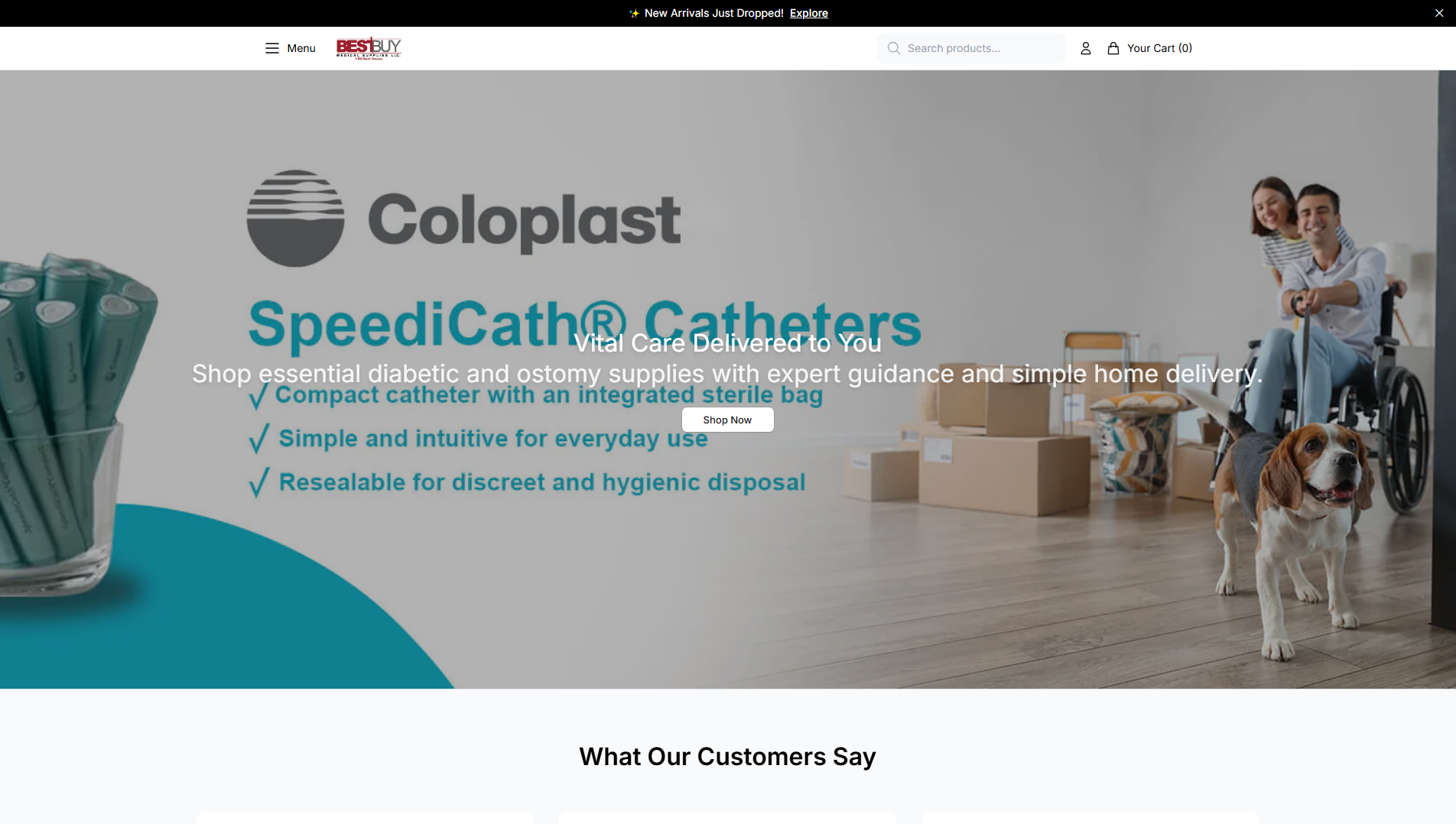 Stored capture of bestbuymedicalsupplieshq.shop