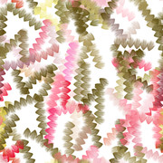 shutterstock 2469267647