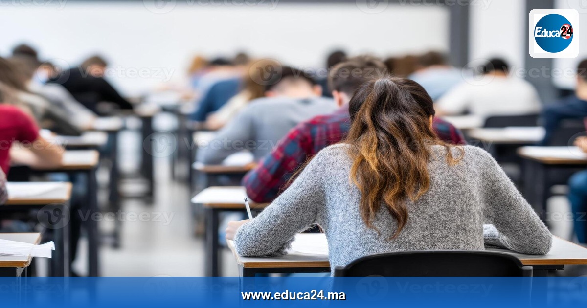 كيف تحول فترات التقييم إلى مسار تعلم مستدام