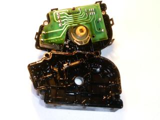 https://i.ibb.co/TDhx9rdL/48654-1.jpg