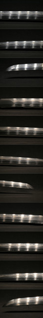 DSC4544