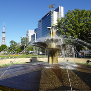DSC03403
