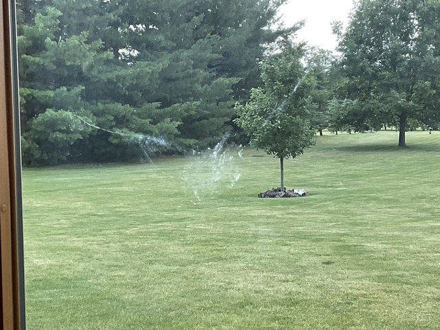 IMG 1587