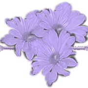 c772ee091b03