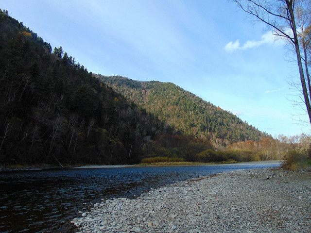 DSC05286