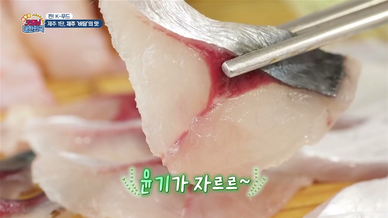 굿모닝대한민국 찐K푸드 제주 바당 추가 캡처 1