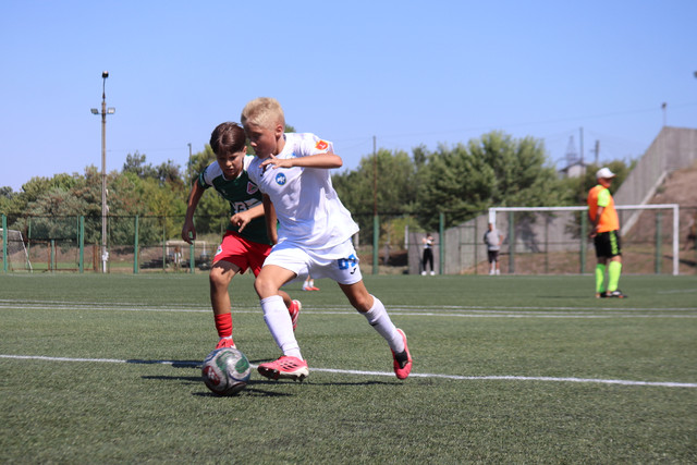IMG-0184