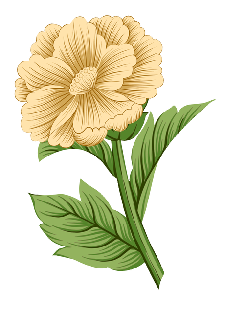 0 136.png
