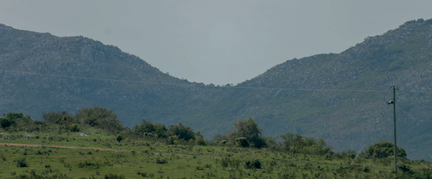 Taguató Kuá