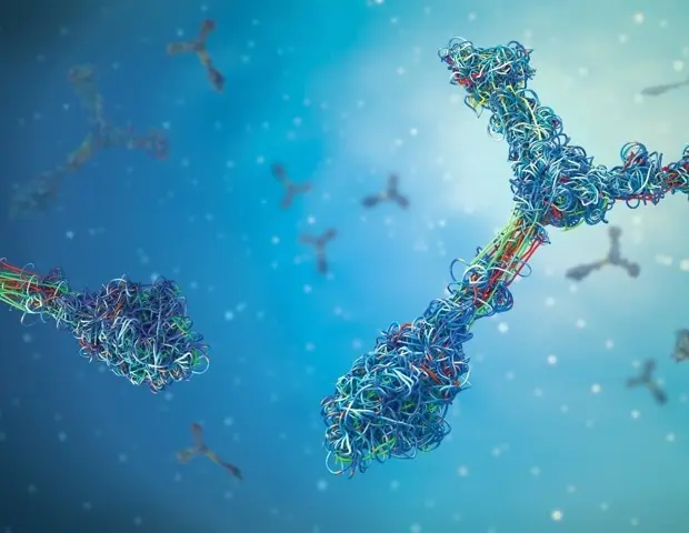 Early-Life Immunity Shapes Adult Health