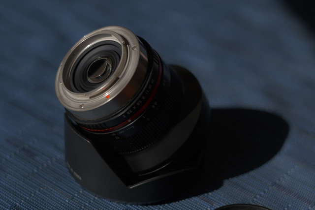 FXT32083 Large.jpg