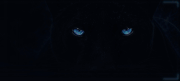 [Image: Cloud-Market-Pro-Animated-Banner.gif]
