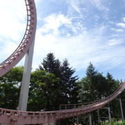 DSC03426
