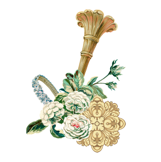 shutterstock 1480689305.png