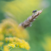 DSC08844 копия