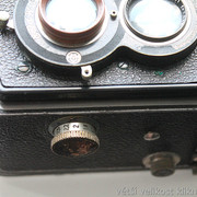 IMG-3125