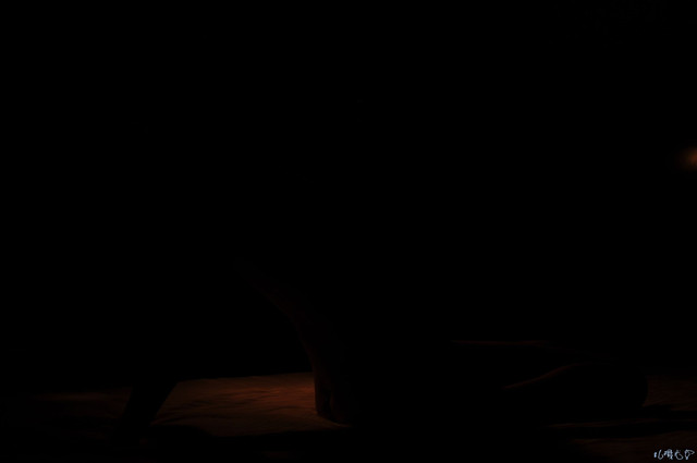 0215.jpg