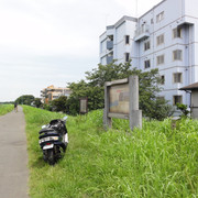 2011-07-03-33