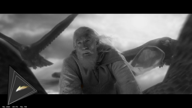 gamut-LOTR30328
