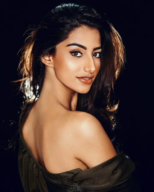 Meenakshi-Chaudhary-9.webp