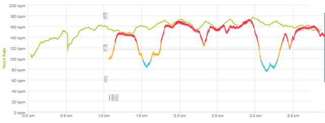 heartrate
