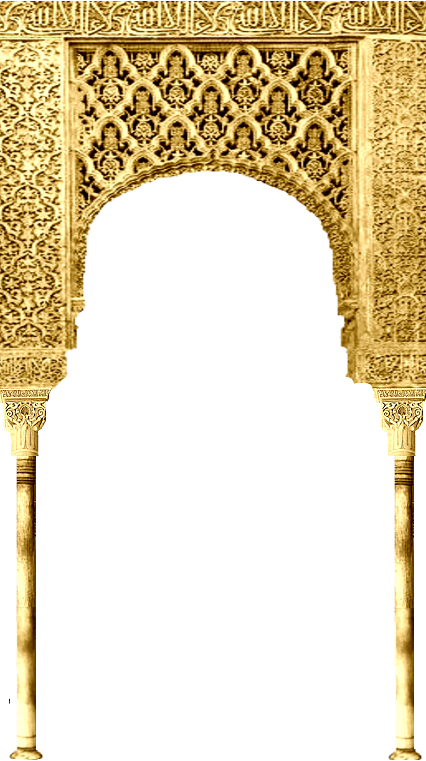 transparent.png