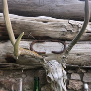 IMG-5933